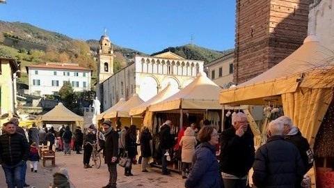 L’albero di Natale in arrivo in Piazza Duomo