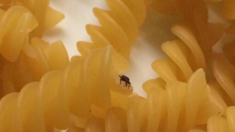 Insetti in una confezione di pasta al supermercato Coop