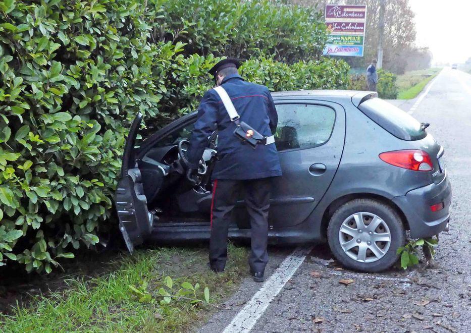 Finisce con l’auto contro una siepe 