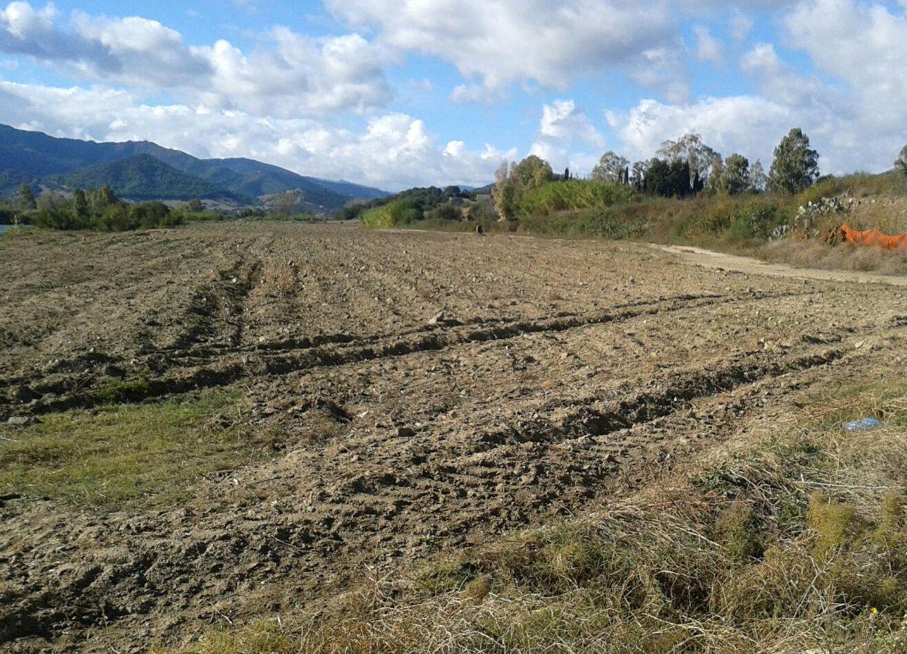 Crisi del mercato e siccità: 2017 nero per l’agricoltura 