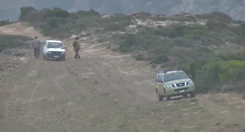 Cacciatore attaccato da un cinghiale durante una battuta, è gravissimo