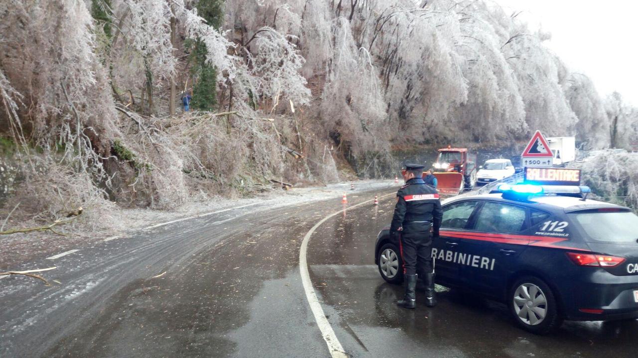 Con il ghiaccio cadoni i rami: interrotta una linea elettrica a Vetto