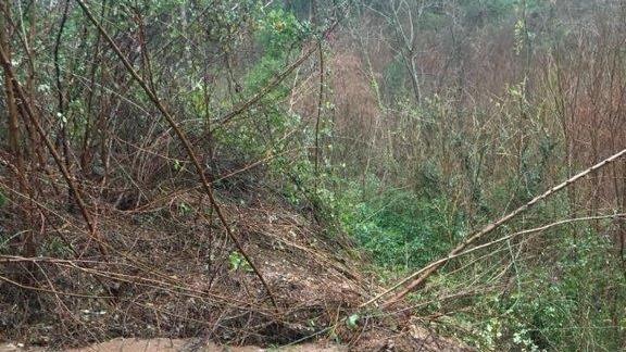 Frana sulla strada per Gambata (foto Facebook - Sindaco Andrea Bonfanti)