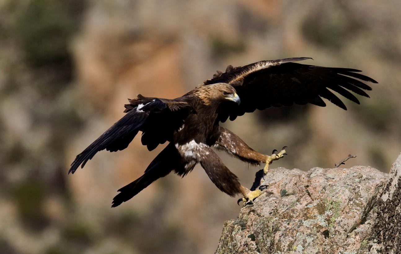 Venti fotografi raccontano la Sardegna 