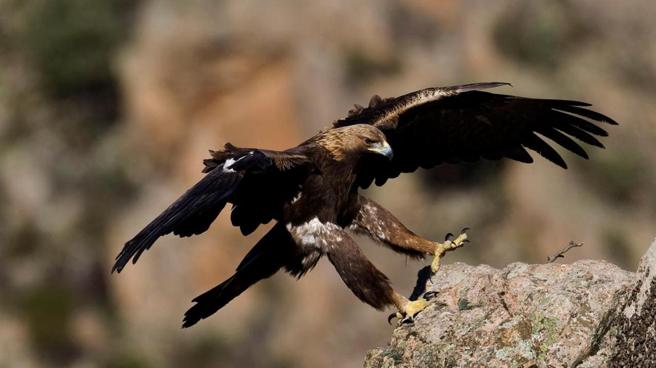 Venti fotografi raccontano la Sardegna