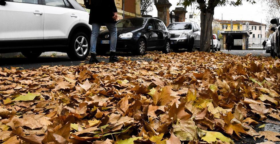 Sos in via Matteotti: sporcizia e auto sopra i marciapiedi 