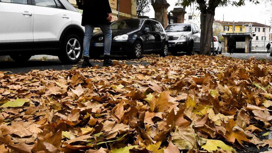 Sos in via Matteotti: sporcizia e auto sopra i marciapiedi
