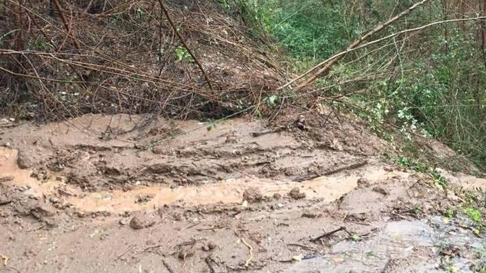 Strade interrotte e black out per gli alberi e gli smottamenti
