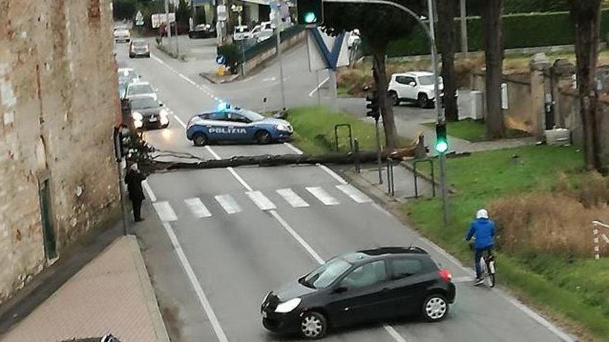 Il vento e la pioggia flagellano Lucca e Piana