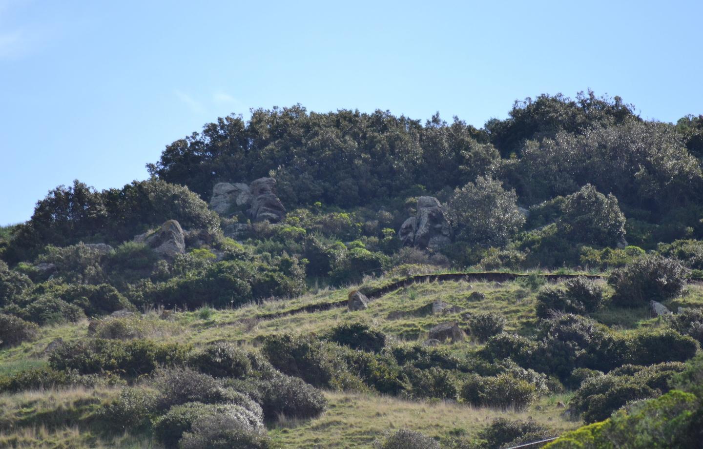 Monte Furru, si interviene sulla frana 
