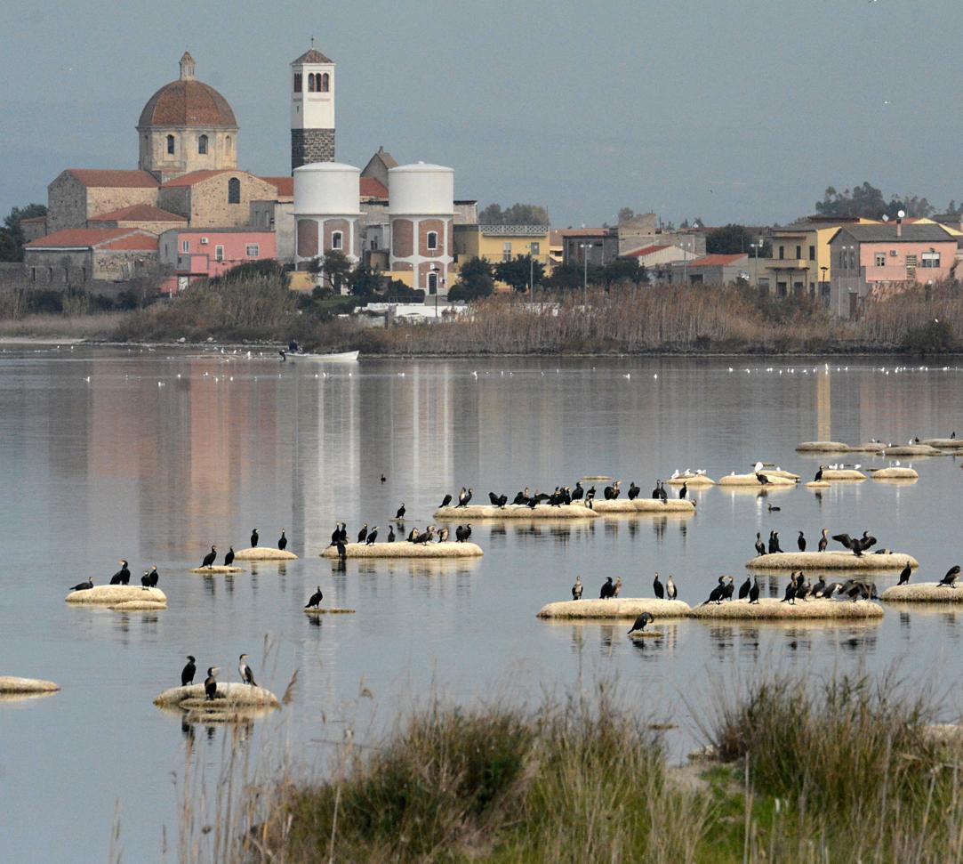 Nurachi, Cabras e Riola: un’alleanza per lo stagno 