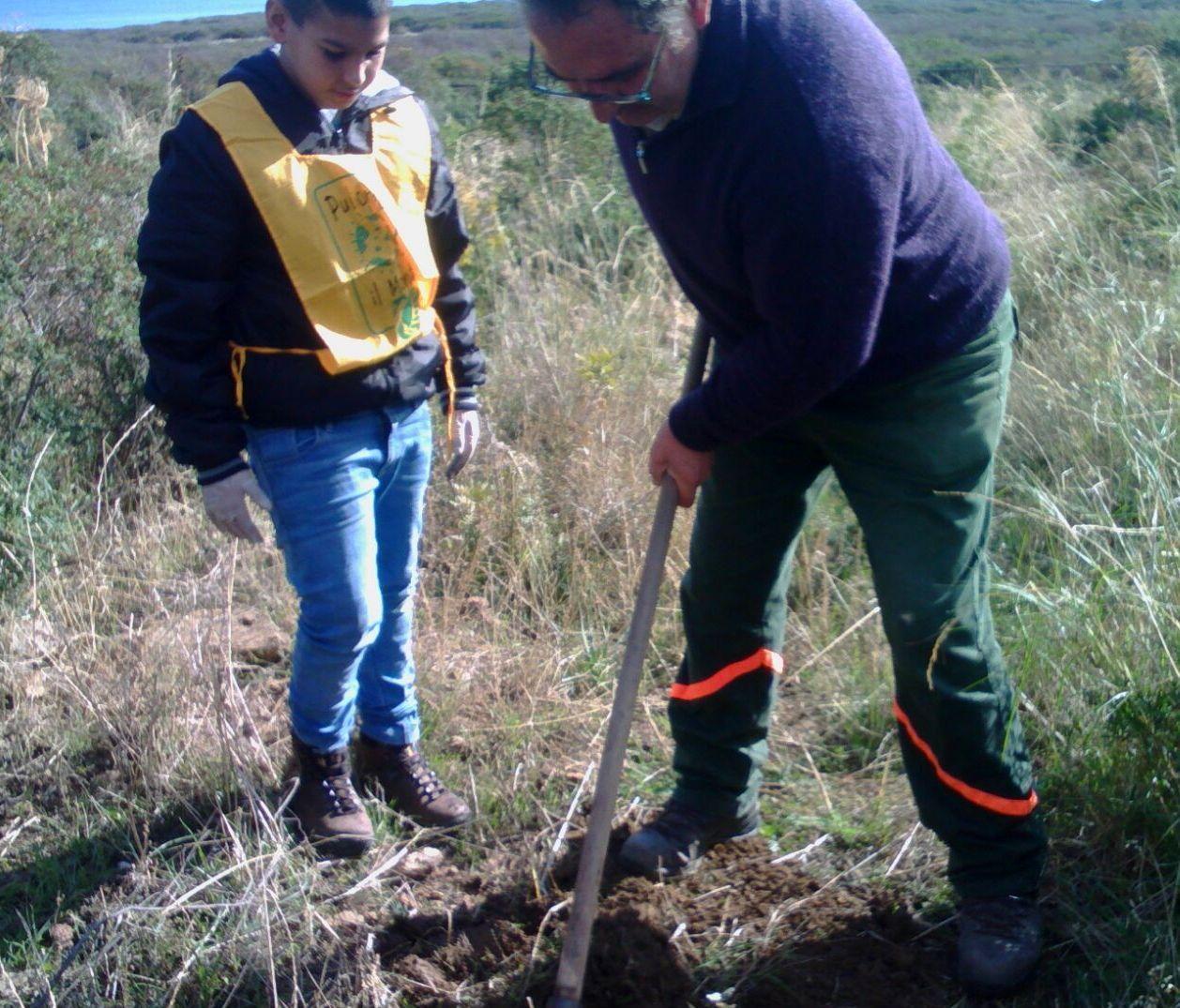 Accordo con Forestas per la pineta 