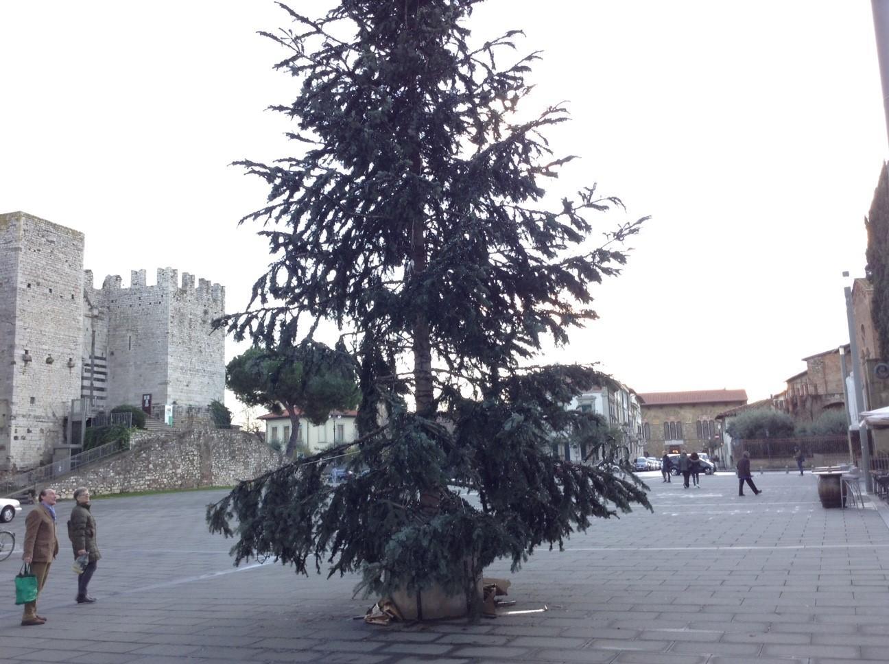 L'albero di Natale in piazza delle Carceri