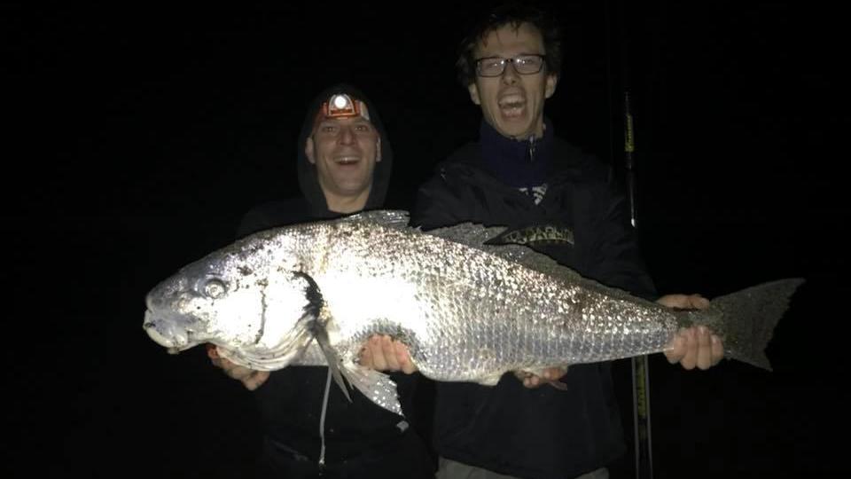 Pieraccioni e Moscardini con l'ombrina di nove chilogrammi