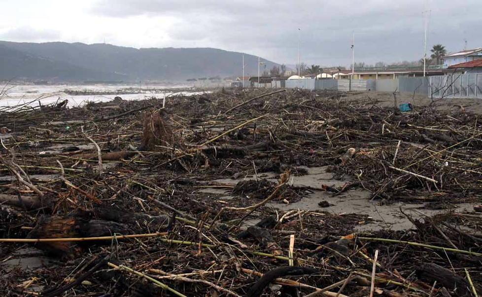 Tonnellate di legna a Marina di Carrara 
