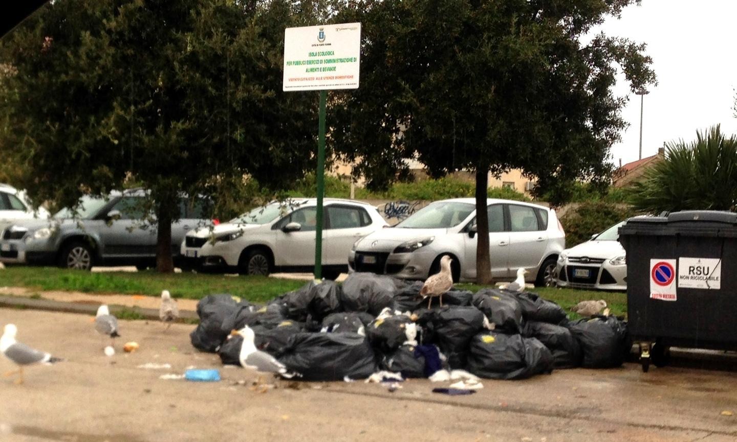 Gabbiani a pranzo tra i rifiuti 