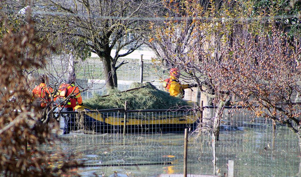 Campogalliano, la piena del Secchia: venti case circondate dall’acqua 