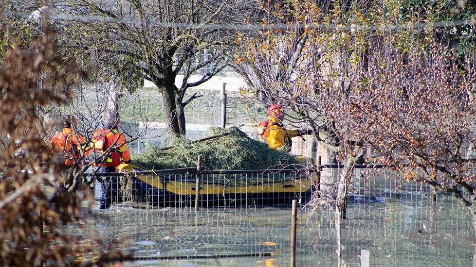 Campogalliano, la piena del Secchia: venti case circondate dall’acqua