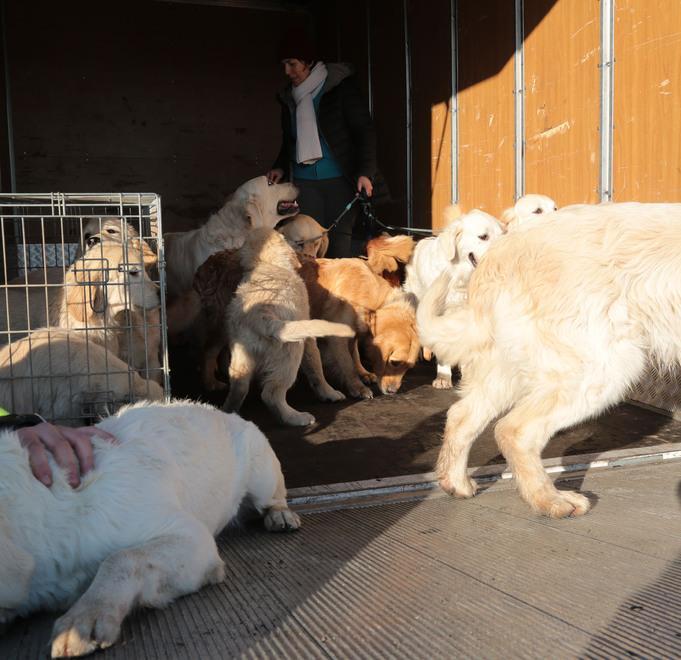 La Bonifica “rompe” l’argine dell’Enza per evitare il peggio 