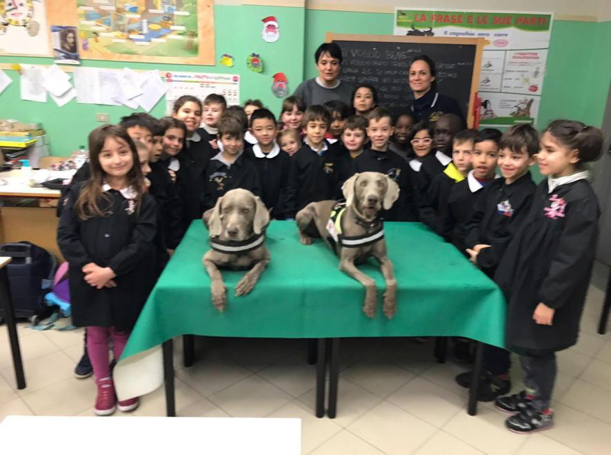 Il rispetto per i cani si insegna a scuola 