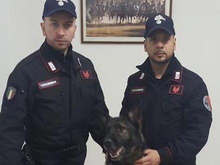 Cane antidroga fiuta l’hashish e fa incastrare quarantenne