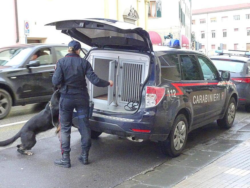 Cani antidroga in azione all’istituto Pacinotti 