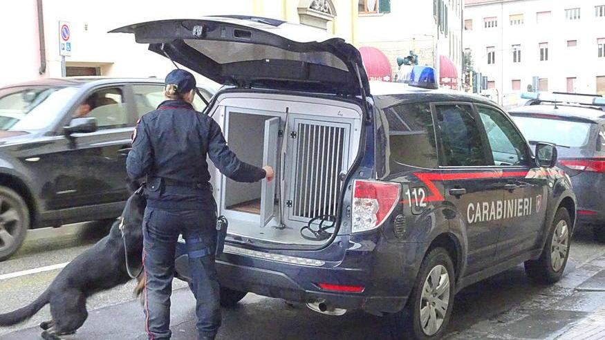 Cani antidroga in azione all’istituto Pacinotti