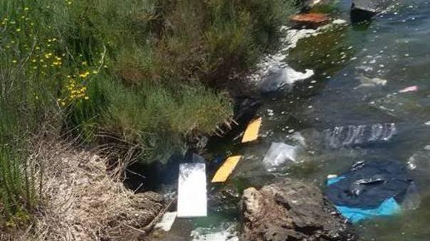 Rifiuti del mercato in Laguna Arriva la rete di protezione
