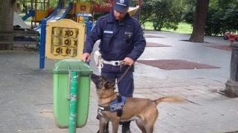 Axel trova casa: carabiniere adotta il cane star antidroga