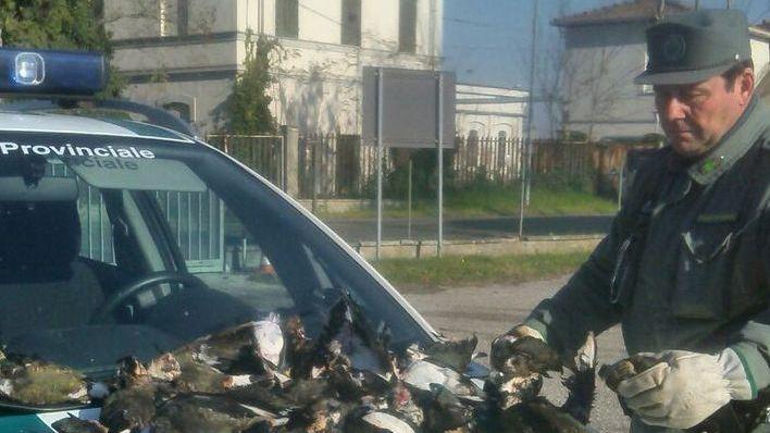 Cacciatore multato per aver ucciso più capi del dovuto