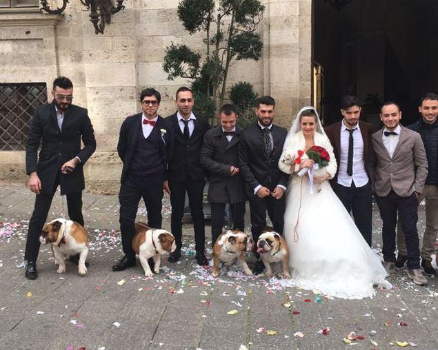Sassari, matrimonio a Palazzo Ducale: il fatidico sì circondati dai cani 