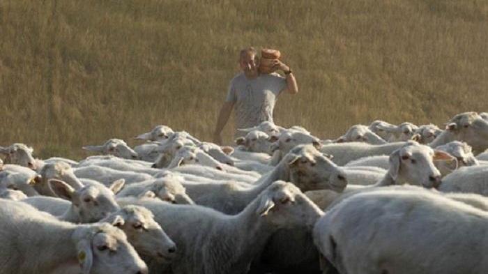 Anche i produttori di pecorino contro la discarica
