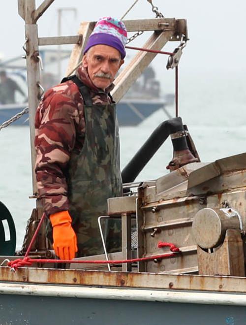 Le ostriche per il cenone arrivano anche da Goro 