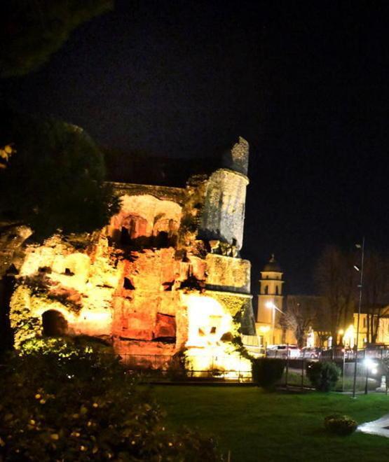 Albero di Natale “fai da te” nel giardino di casa Pellini