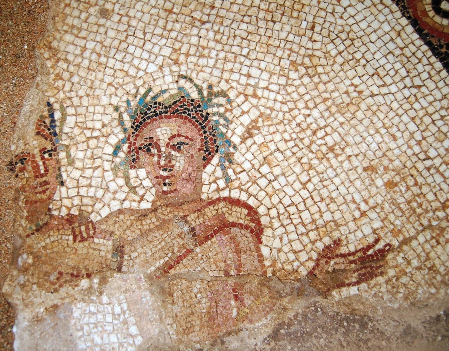 Un mosaico da salvare nella Domus di Orfeo 