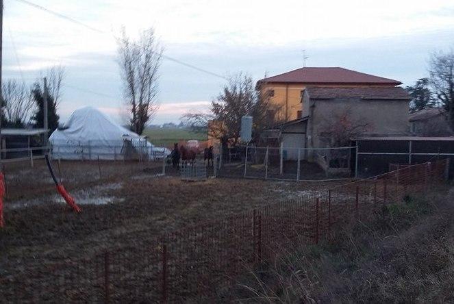 Incidente col cavallo fuggito dal maneggio C’è un sabotaggio?