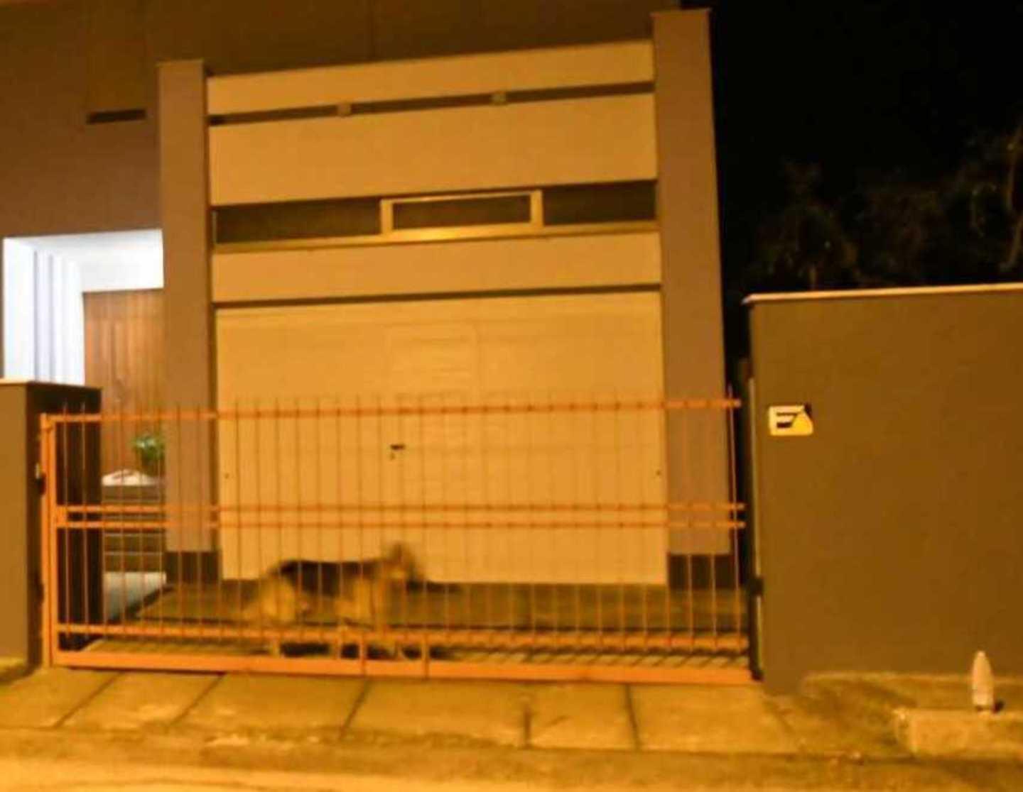 Fa retromarcia, la moglie cade e muore 
