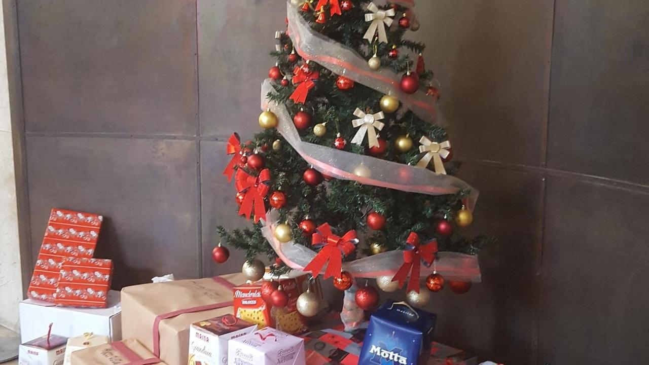 In Tribunale c’è l’albero della solidarietà