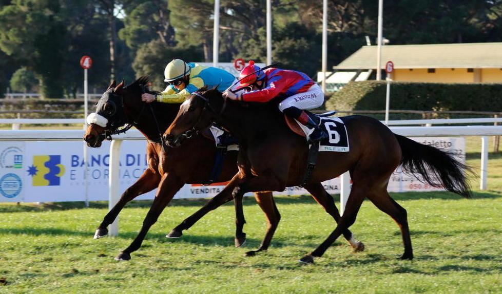 Domenica all’ippodromo ci saranno dieci corse 