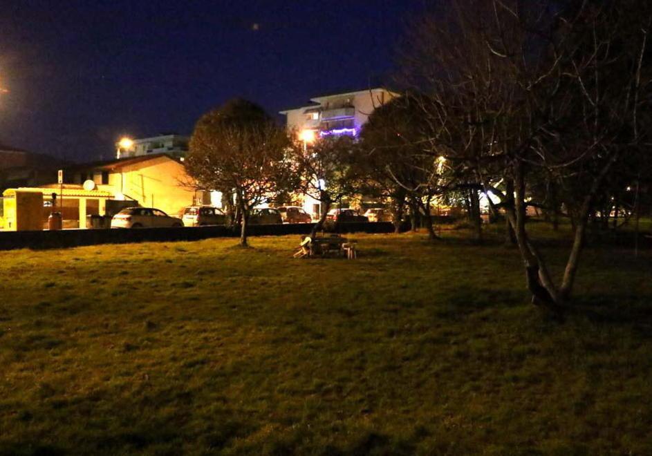 Bocconi avvelenati È allarme rosso nel centro città 