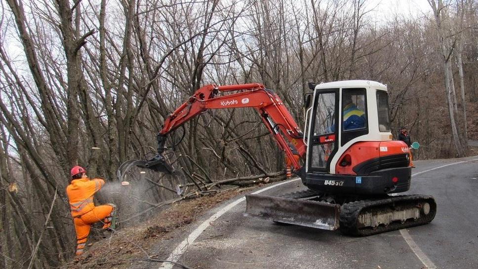 Vento, tour delle strade per controllare gli alberi