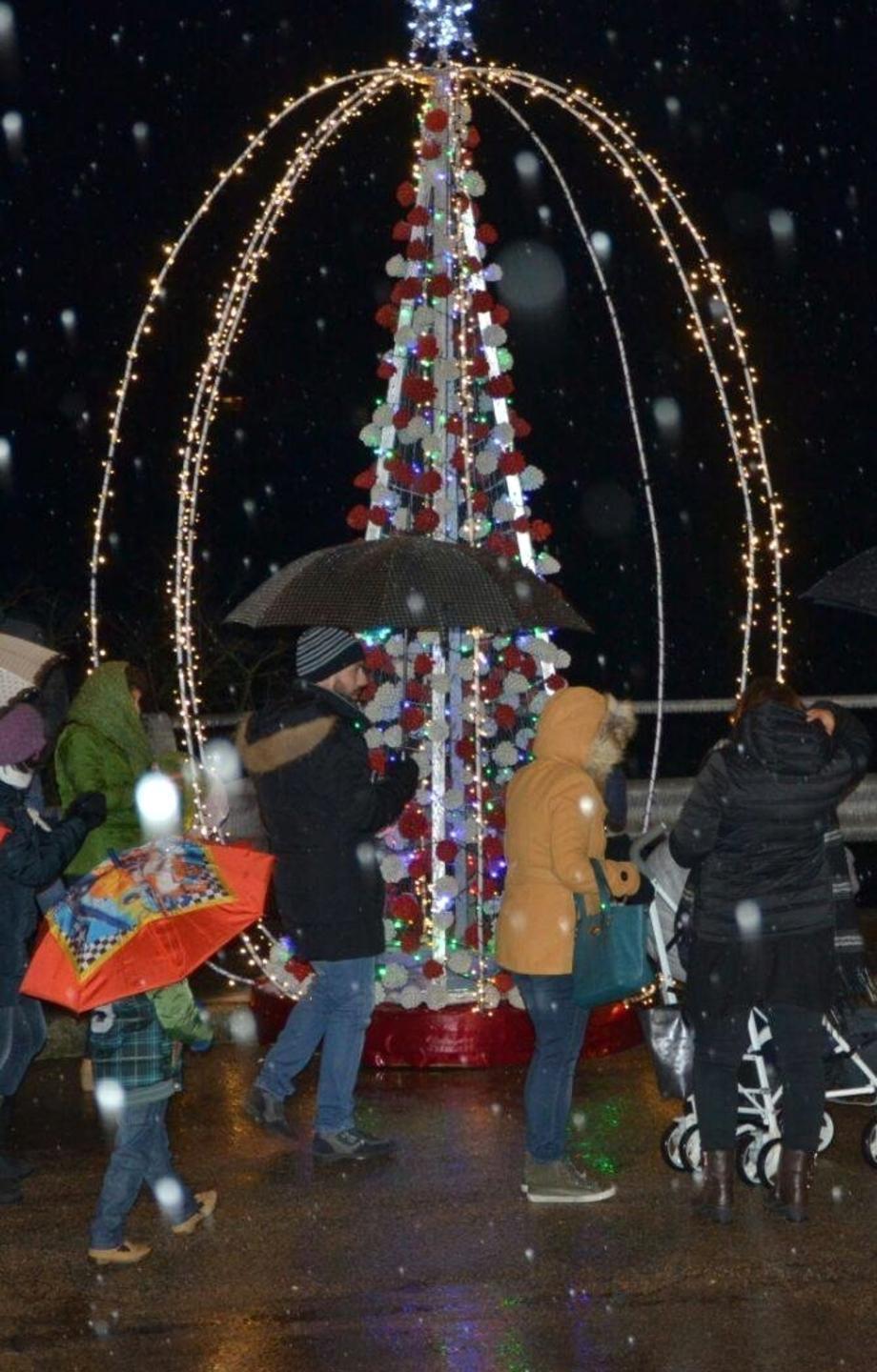 Osilo, danza e teatro sotto l’albero 