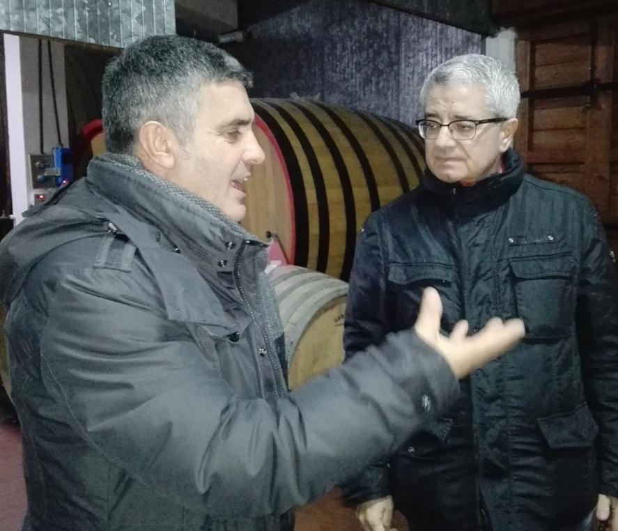Jerzu, allarme di Confindustria «Settore vinicolo al collasso» 