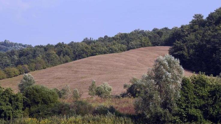 Fino a 500 euro ad ettaro per i fanghi nei campi