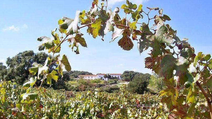 Altri riconoscimenti per la cantina “Muscazega”
