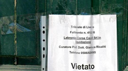 Un polo amaranto fra lo stadio-bis e l’ex ippodromo