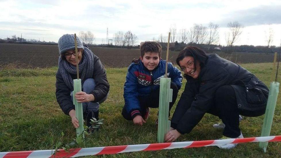 Messe a dimora 200 piante