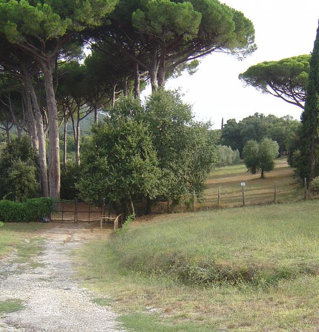 Cartelli e catene contro l’uso pubblico 