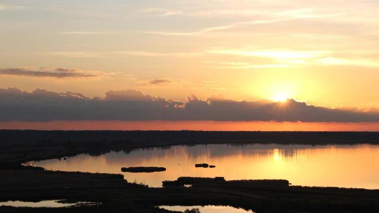 Gli esperti spiegano come salvare il lago
