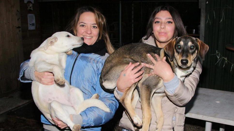 Adottano venti cani per salvarli dal gelo
